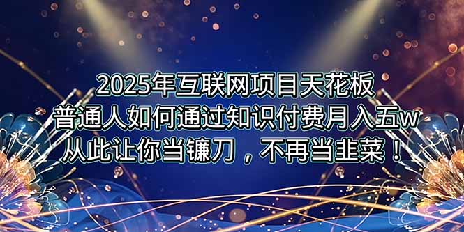 2025年互联网项目天花板，普通人如何通过卖项目实现逆风翻盘，月入5W＋！-启云分享