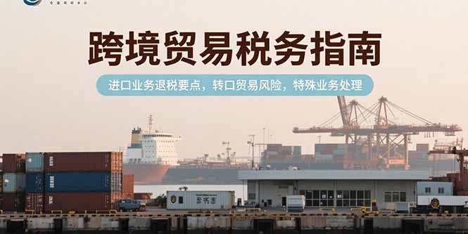 跨境贸易税务指南，进口业务退税要点，转口贸易风险，特殊业务处理-启云分享