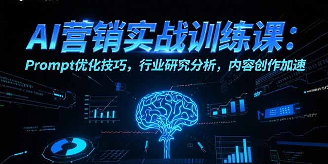 AI营销实战训练课：Prompt优化技巧，行业研究分析，内容创作加速-启云分享