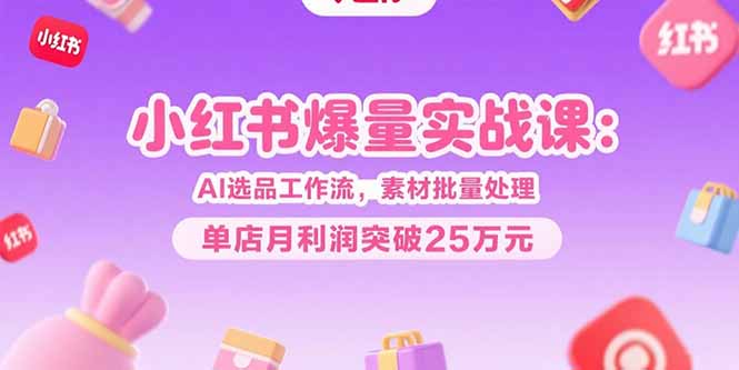 小红书爆量实战课：AI选品工作流，素材批量处理，单店月利润突破25万元-启云分享