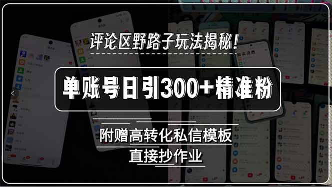 评论区野路子玩法揭秘！单账号日引300+精准粉，附赠高转化私信模板，直...-启云分享