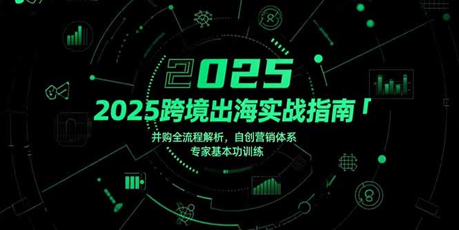 2025跨境出海实战指南，并购全流程解析，自创营销体系，专家基本功训练-启云分享