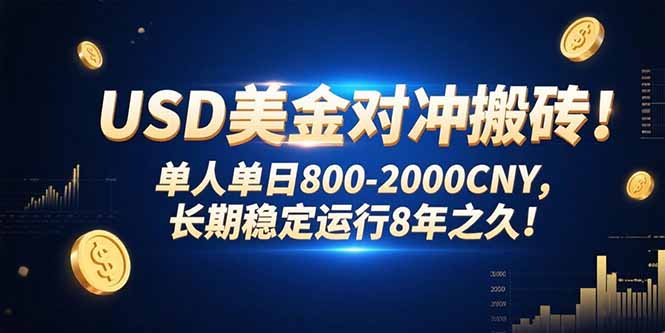 USD美金对冲搬砖!单人单日800-2000CNY，长期稳定运行8年之久!-启云分享