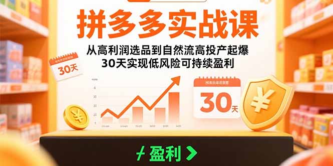 拼多多实战课：从高利润选品到自然流高投产起爆 30天实现低风险可持续盈利-启云分享
