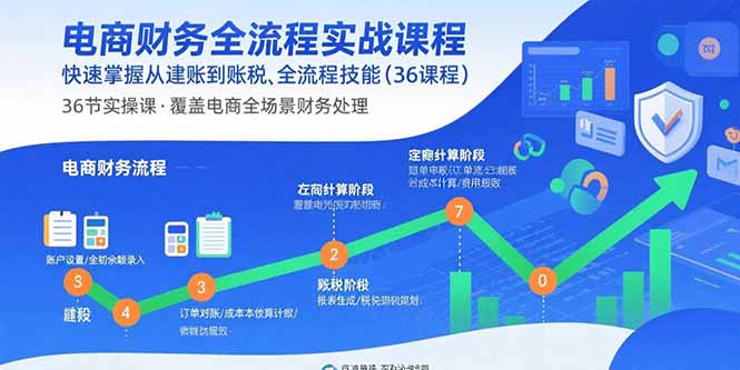 电商财务全流程实战课程：快速掌握从建账到报税的全流程技能(36节课-启云分享