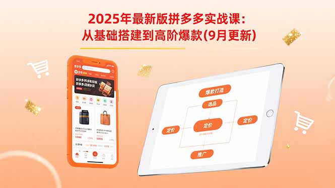 2025年最新版拼多多实战课：从基础搭建到高阶爆款(9月更新-启云分享