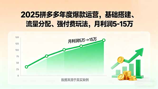 2025拼多多年度爆款运营，基础搭建、流量分配、强付费玩法，月利润5-15万-启云分享
