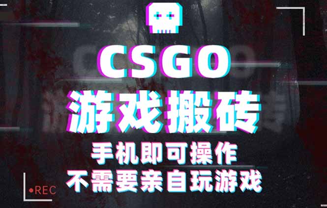 CSGO游戏挂机捡漏，单日扫货500+，年底小高峰上车可吃肉，手机即可操作...-启云分享