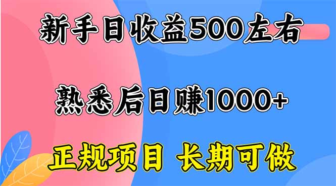 新手日收益500+ 正规项目 长期可做-启云分享