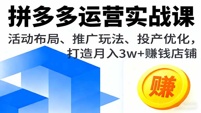 拼多多运营实战课,活动布局、推广玩法、投产优化,打造月入3w+赚钱店铺-启云分享