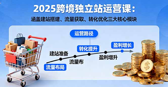 2025跨境独立站运营课：涵盖建站搭建、流量获取、转化优化三大核心模块-启云分享