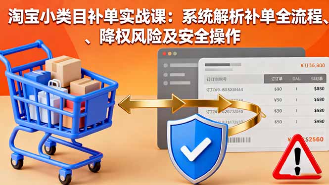 淘宝小类目补单实战课：系统解析补单全流程、降权风险及安全操作-启云分享