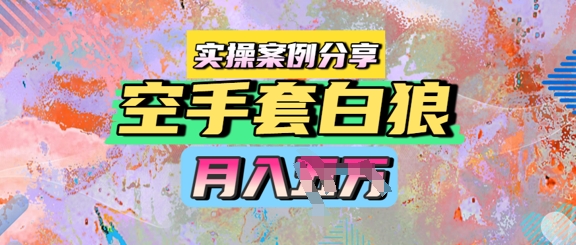 空手套白狼,月入过1W,实操案例分享-启云分享