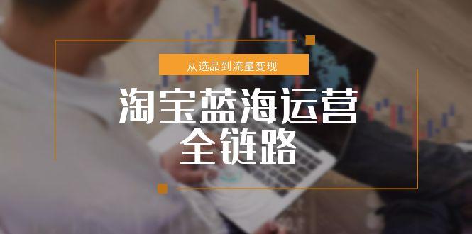 淘宝蓝海运营全链路，从选品到流量变现，小类目突围完整方案-启云分享