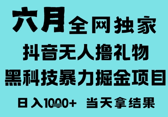 25年6月高爆抖音无人直播最新撸音浪掘金项目，门槛低小白可做，无脑日入1k，可矩阵放大【揭秘】-启云分享