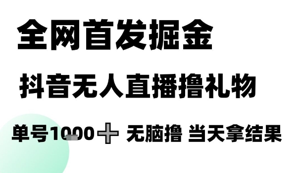 全网首发掘金抖音无人直播撸礼物，单号1k +无脑撸，当天拿结果【揭秘】-启云分享