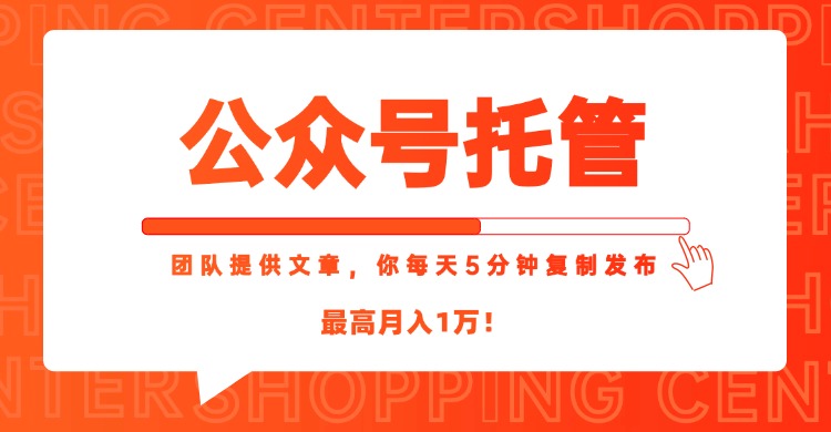 【公众号托管 】我提供文章，你每天５分钟复制发布，最高月入1W-启云分享