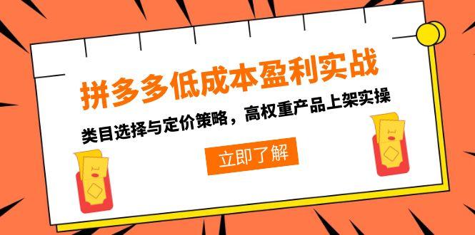 拼多多低成本盈利实战，类目选择与定价策略，高权重产品上架实操-启云分享