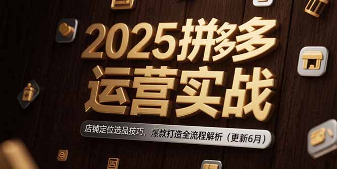 2025拼多多运营实战：店铺定位选品技巧，爆款打造全流程解析(更新6月-启云分享