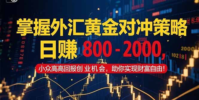 掌握外汇黄金对冲策略,日赚 800 - 2000,小众高回报创业机会,助你实...-启云分享