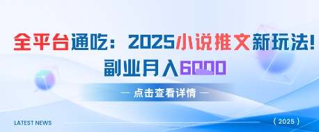 全平台通吃:2025小说推文新玩法,副业月入6k-启云分享