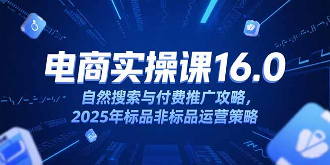 淘宝电商运营课16.0，自然搜索与付费推广攻略，2025年标品非标品运营策略-启云分享