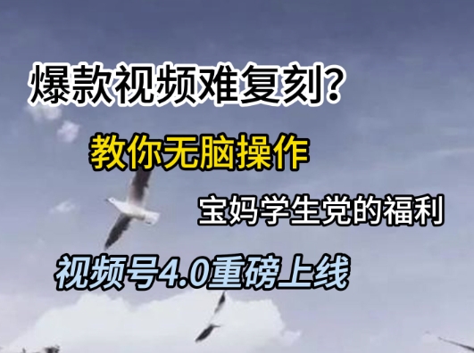 视频号4.0重磅上线，爆款视频难复刻？教你无脑操作宝妈学生党的福利【揭秘】-启云分享