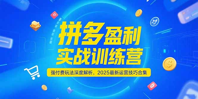 拼多多盈利实战训练营，强付费玩法深度解析，2025运营技巧合集-更新6月-启云分享
