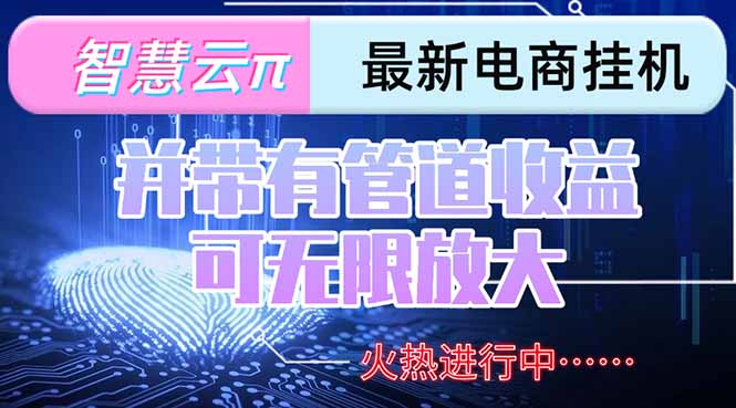 智慧云π电脑挂机单机每天收益300—500+ 并带有团队管道收益 可无限放大-启云分享