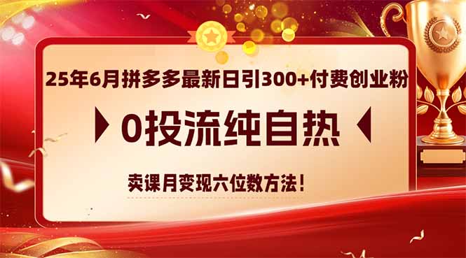 25年6月拼多多最新日引300+付费创业粉，0投流纯自热 卖课月变现六位数方法-启云分享
